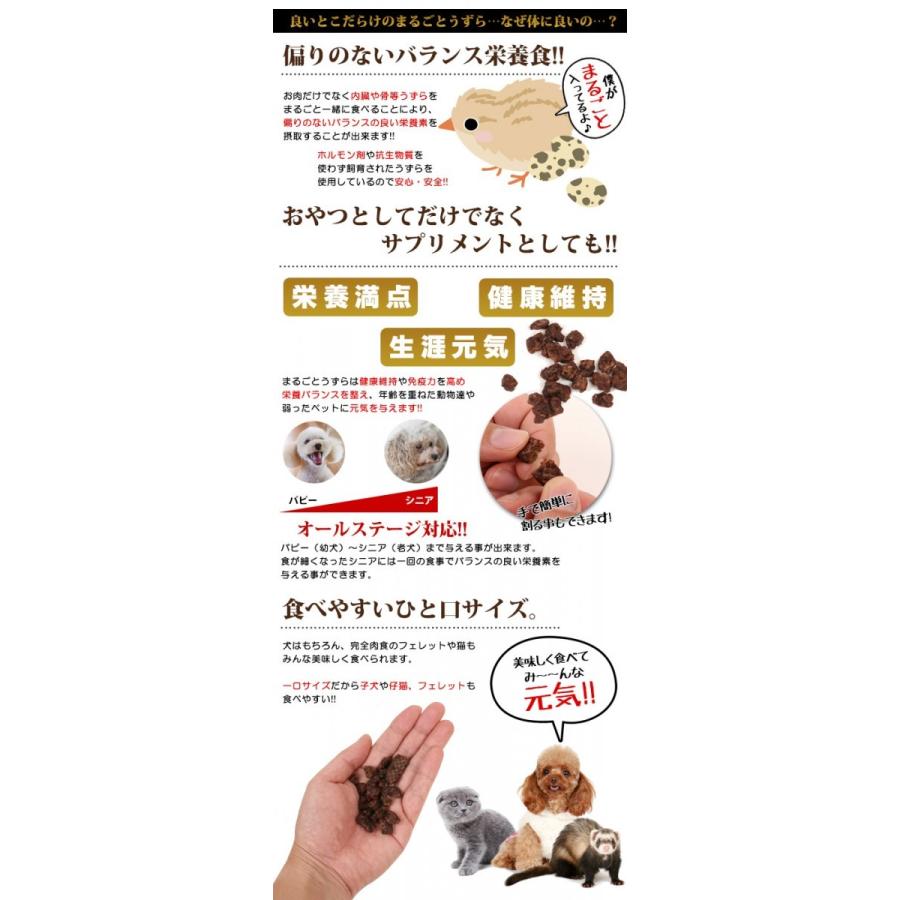 フェレット おやつ 超極み まるごとうずら 35g ヘルスチャージシリーズ 国産 完全無添加 猫 フード ドッグフード ゆうパケットok フェレットワールドヤフーショップ 通販 Yahoo ショッピング