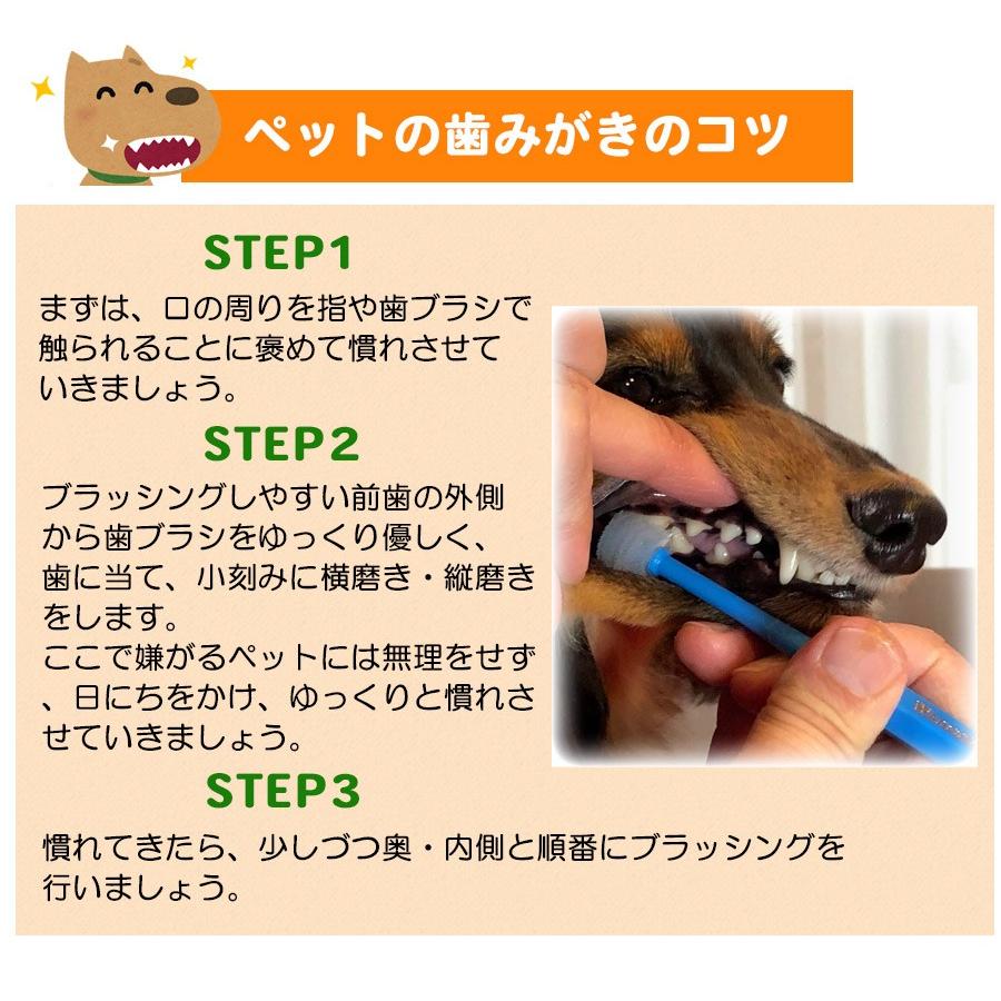 フェレット 歯みがき ワンキャッチ Wancatch 歯ブラシ Mサイズ 小型犬・中型犬用  ペット専用歯垢吸着歯ブラシ  歯科医監修  ゆうパケットOK｜ferretwd｜06