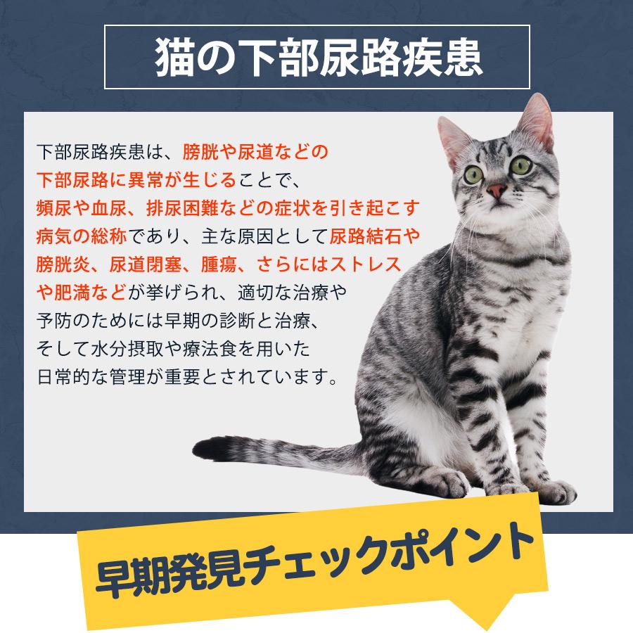 マルカン キャットフード ベッツウェル 猫用食事療法食 下部尿路ケア