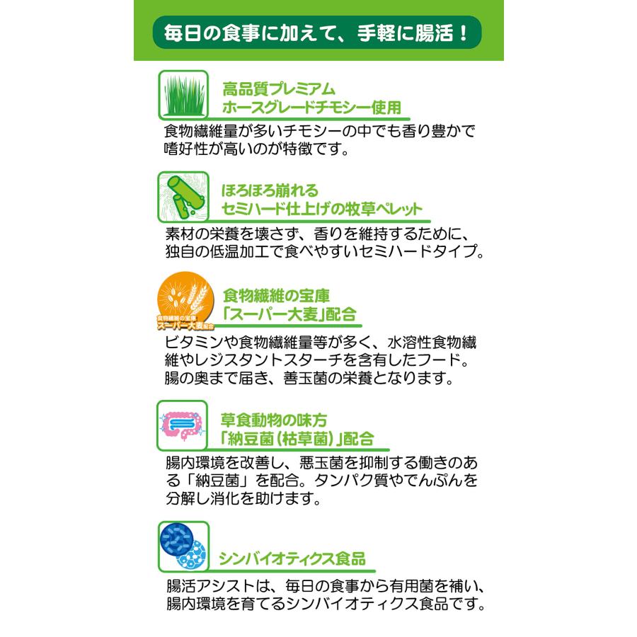 三晃商会 小動物 牧草 腸活アシスト 400g T1 うさぎ モルモット デグー