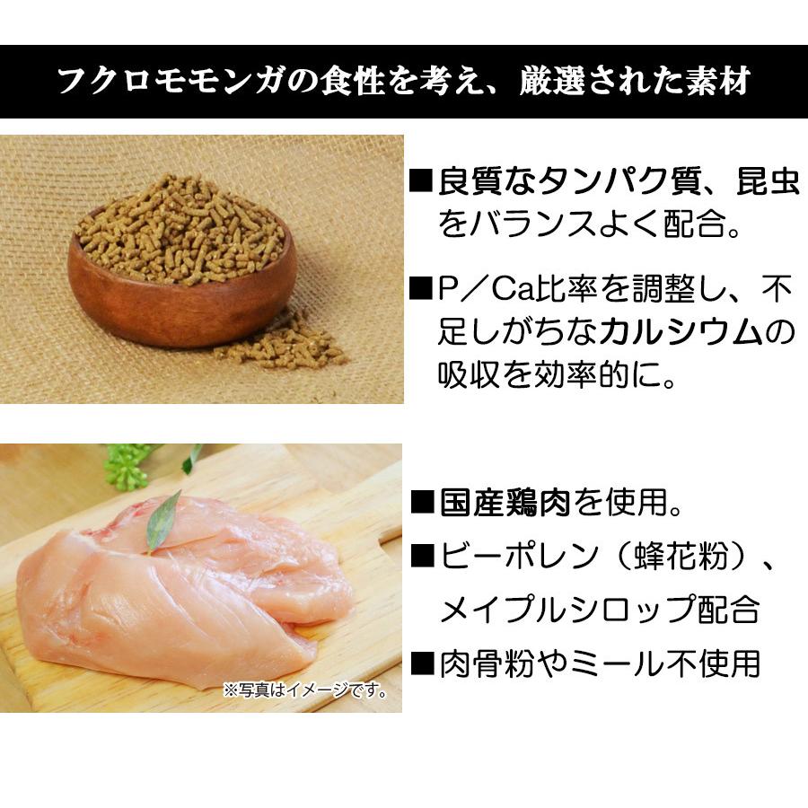 フクロモモンガ　小動物　オーダーページ 楽天市場】モモンガ おもちゃ フクロモモンガ ペット おもちゃ