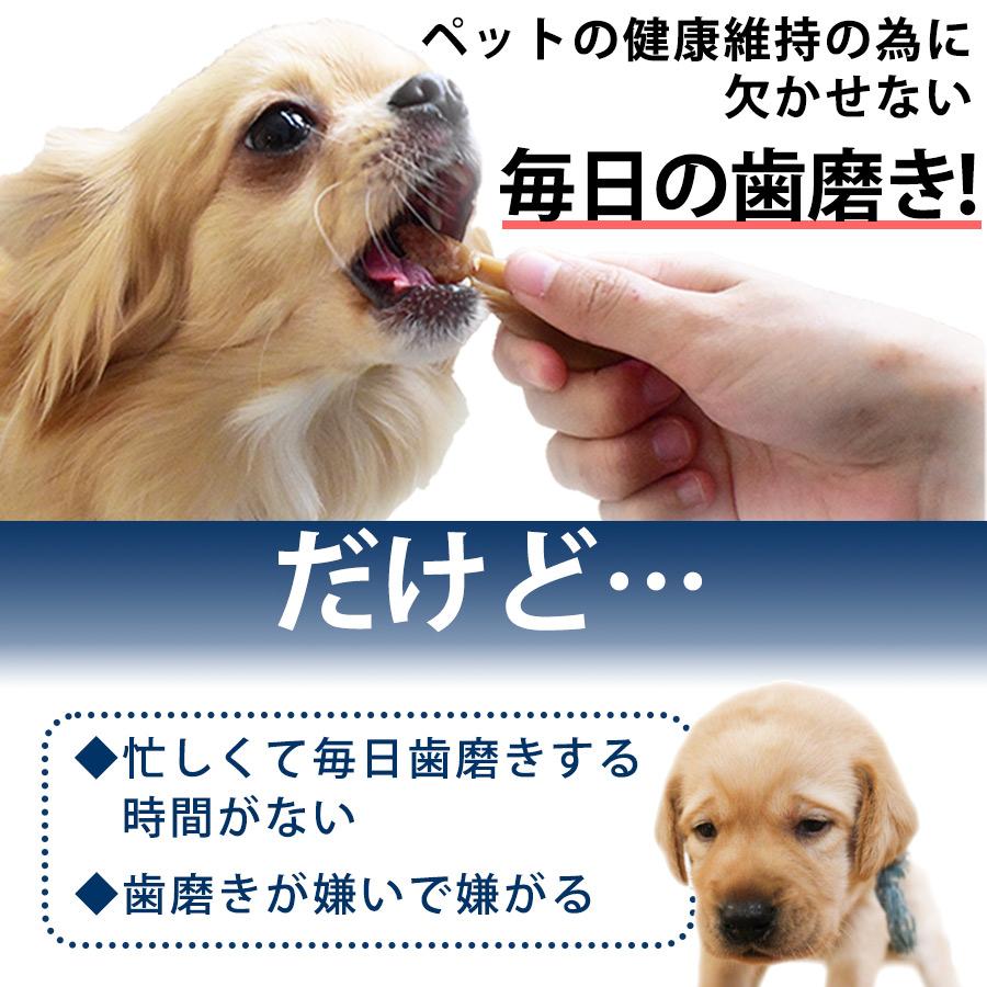 【新品未使用】犬口ケアお手軽歯みがきセット　81個 新品未使用】犬口ケアお手軽歯みがきセット 81個