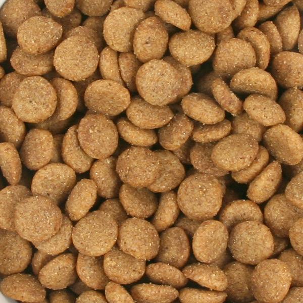 フェレットフード ニチドウ フェレット シニアダイエットフード 1.0kg