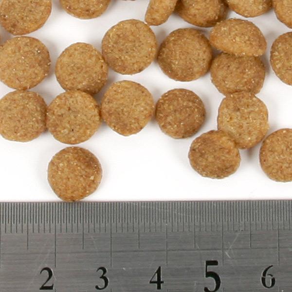 フェレットフード ニチドウ フェレット シニアダイエットフード 1.0kg