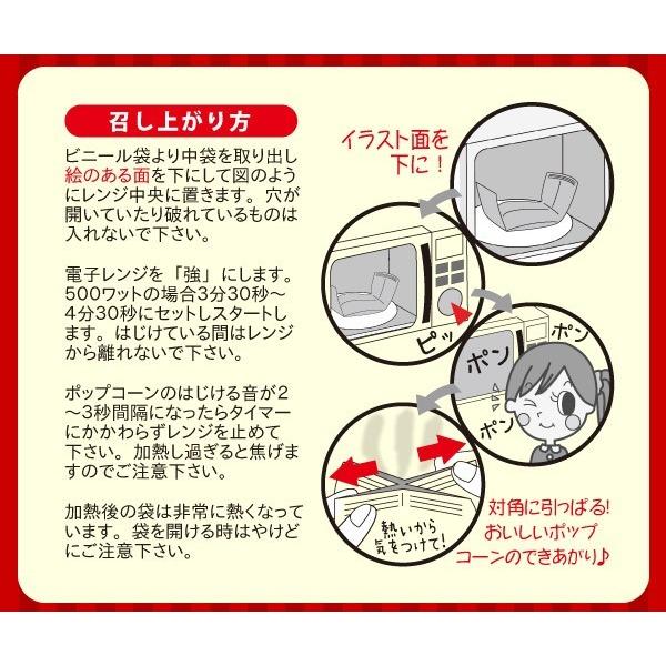 ポップちゃん バター味 99g X 12袋 1ボール 電子レンジ用ポップコー Rfp0017 B Fescoポップコーンショップ 通販 Yahoo ショッピング