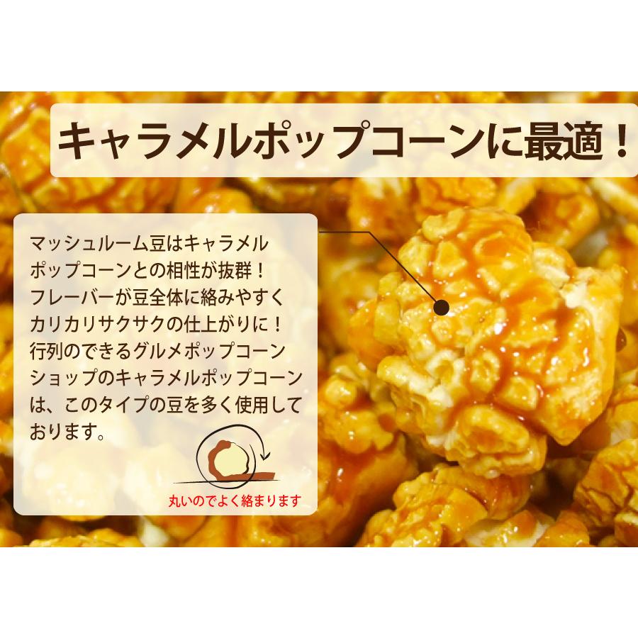 ポップコーン 豆2kg バタフライorマッシュルーム (500g×4) KING | ポップちゃん | 05