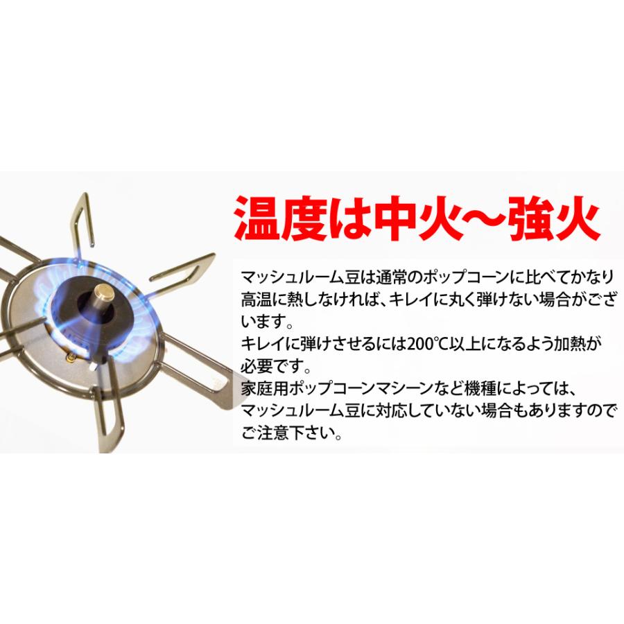 ポップコーン 豆2kg バタフライorマッシュルーム (500g×4) KING | ポップちゃん | 07