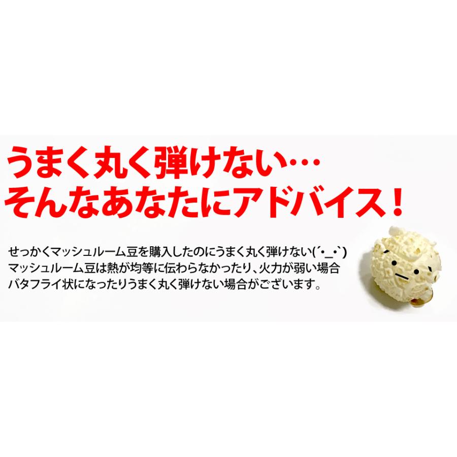 ポップコーン豆 22.68kg バタフライ or マッシュルーム KING : FESCO