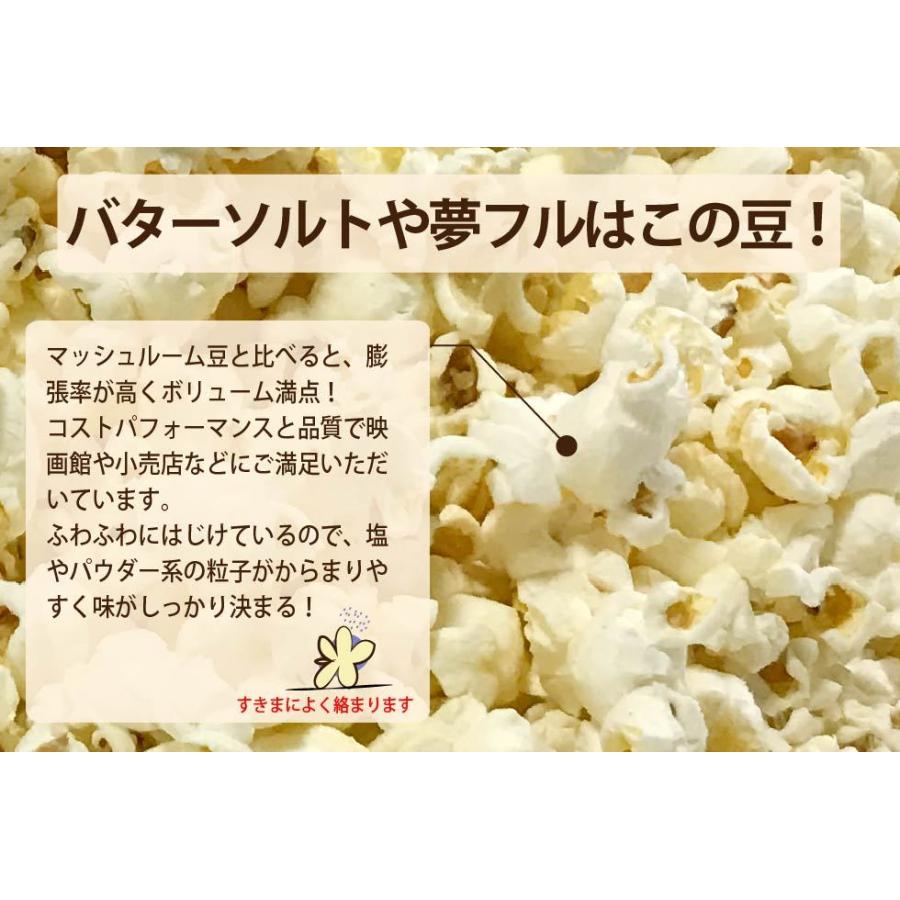 ポップコーン豆 2kg PLATINUM バタフライ プレファード | ポップちゃん | 02