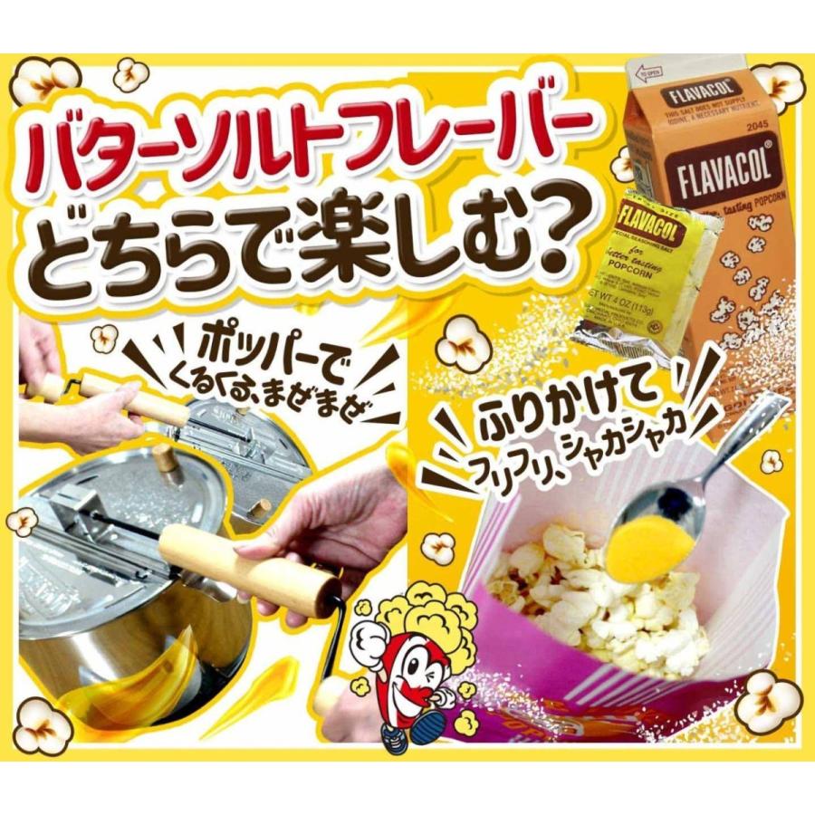 バターソルトフレーバー（調味塩）FLAVACOL 100g ポップコーン　※ ポテト　ポテトサラダ等 料理にも｜fescogroup｜03