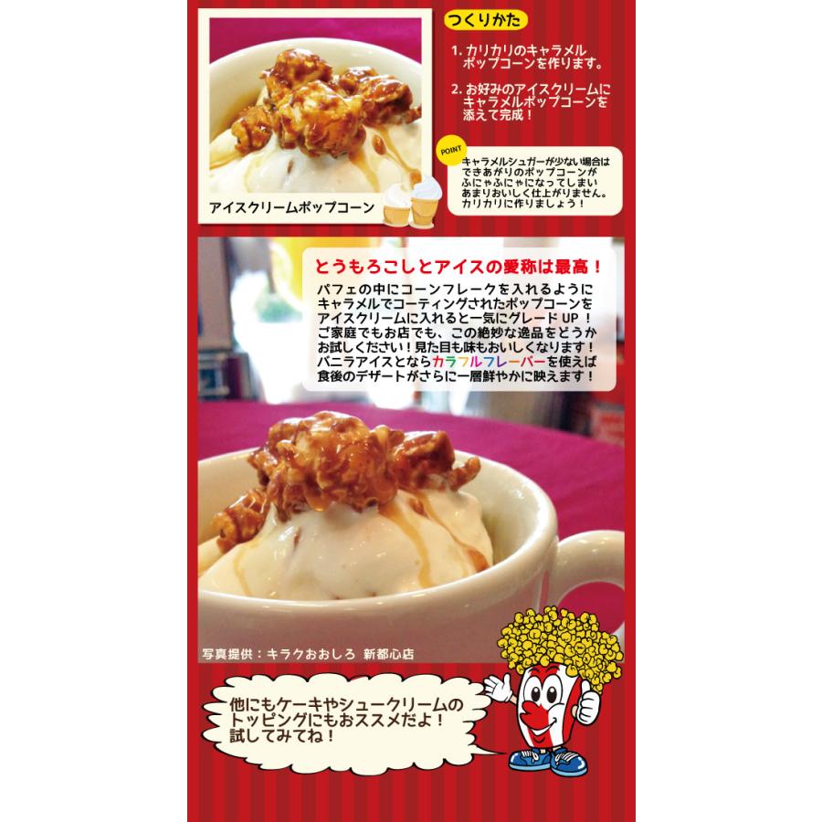 ポップちゃん ポップコーン豆 500g バタフライorマッシュルーム