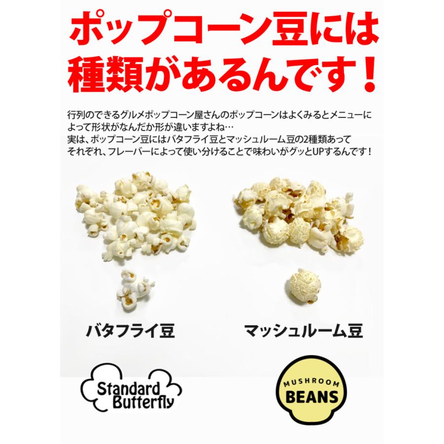 ネコポス　ポップコーン豆1kg バタフライorマッシュルーム（500g×2）｜fescogroup｜11