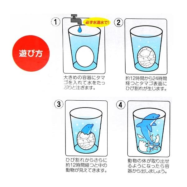 誕生！海洋生物 12入 景品 おもちゃ お祭り 縁日 縁日 景品 問屋 お祭り 子供 おもちゃ 祭り 縁日用品 屋台 イベント｜festival-plaza｜03