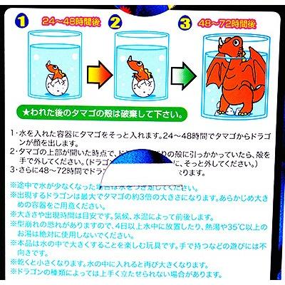 ドラゴンのタマゴ3 景品 おもちゃ お祭り 縁日 問屋 子供 祭り 縁日