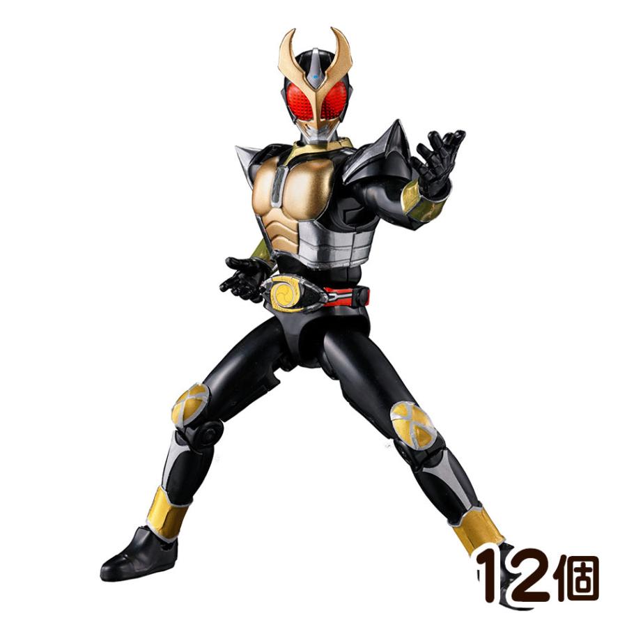 BANDAI（バンダイ） SO-DO CHRONICLE 仮面ライダー アギト／仮面