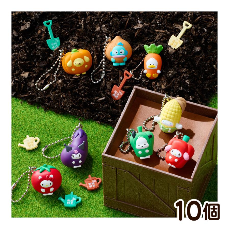 BANDAI（バンダイ） サンリオキャラクターズ ベジタブルビスケット