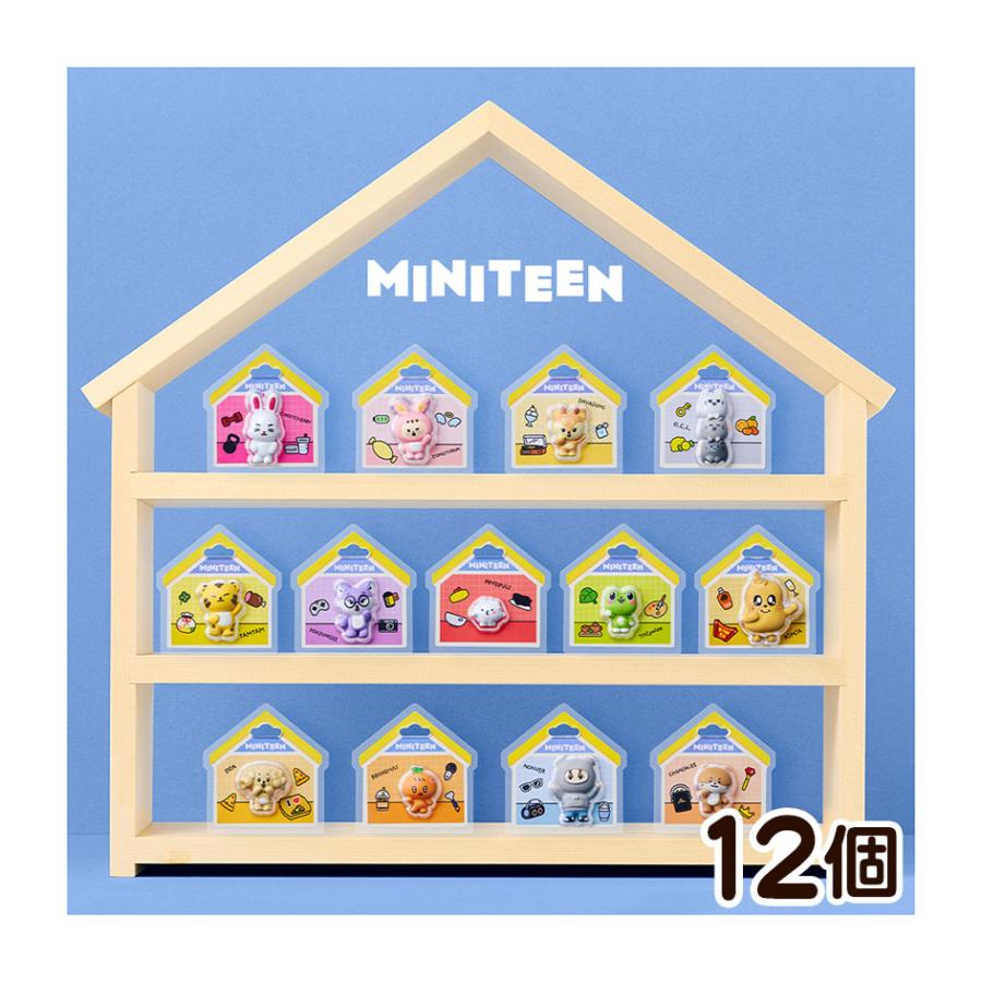 BANDAI（バンダイ） MINITEEN パッケージチャーム&グミ 12個装入