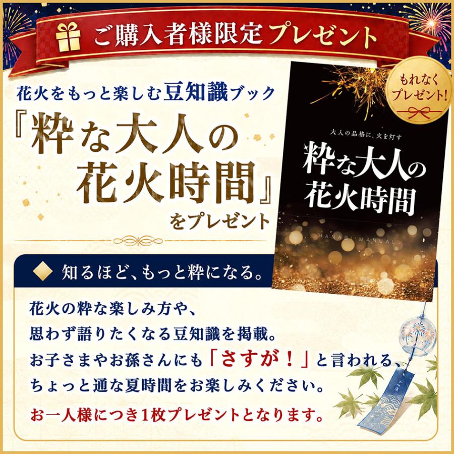 打・連・噴 三傑セット 5000円コース (花火トリオセット) 花火 [omkAA