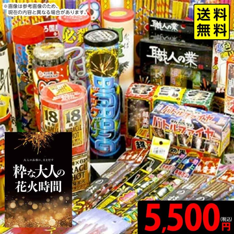 手持入り全種勢揃いセット 5000円コース (Theフルコース) 花火 [omkAA