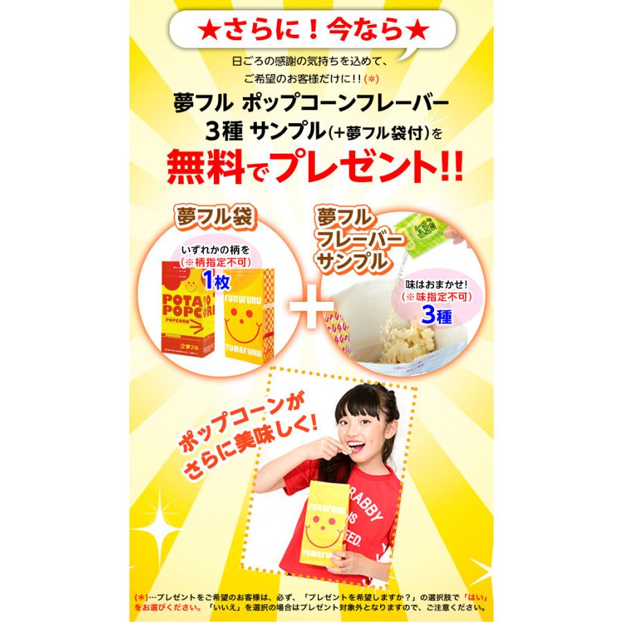 キャラメルシュガー 1kg ポップコーン 業務用 お祭り [omkpop-AA