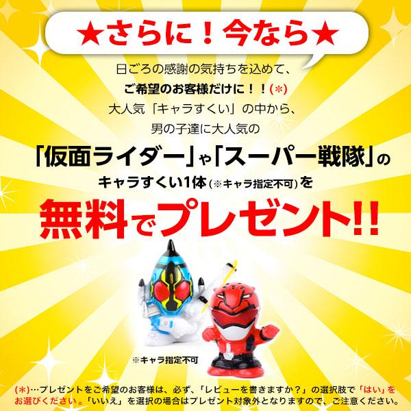 白箱 日本製 ラッキースクープ すくい枠 約 100本入 すくい スーパーボールすくい お祭り [omkAA-00061omk] 縁日 景品 問屋 お祭り 子供｜festival-plaza｜05