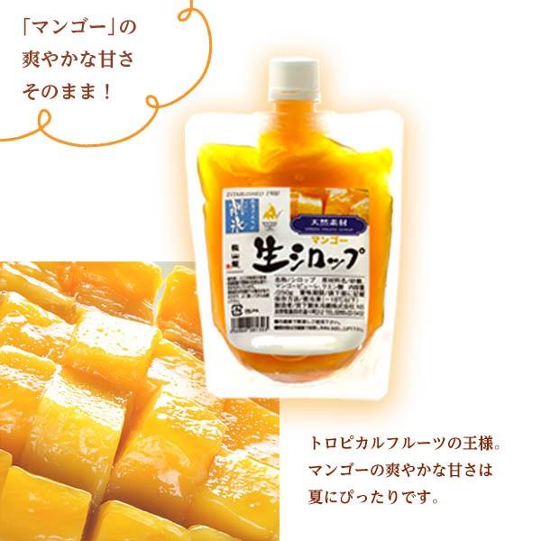 生シロップ 250g マンゴー かき氷 シロップ 縁日 お祭 イベント カキ氷 氷みつ 19d23 子供会 景品 お祭り縁日 代引不可 フェスティバルプラザ 通販 Paypayモール