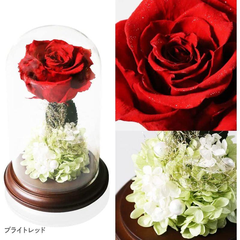 Makefuture プリンセスフルール プリザーブドフラワー ガラスドーム バラ 美女と野獣 プロポーズ ブライトレッド 花、ガーデニング 花束、アレンジメント Z1086937339(10654円)