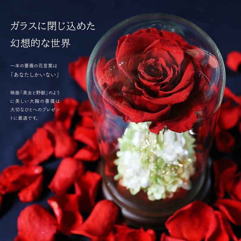 Makefuture プリンセスフルール プリザーブドフラワー ガラスドーム バラ 美女と野獣 プロポーズ ブライトレッド 花、ガーデニング 花束、アレンジメント Z1086937339(10654円)