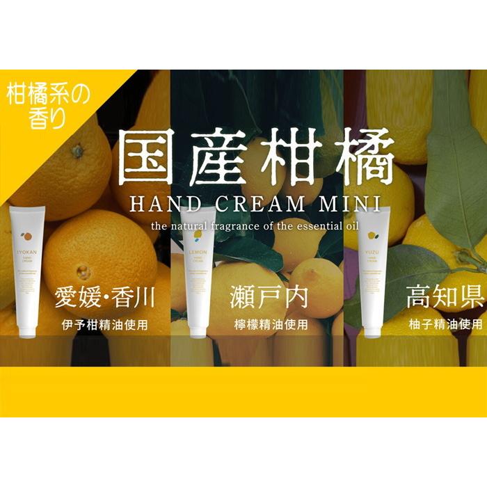 伊予柑　ハンドクリーム　国産柑橘　20g　ミニハンドクリーム　デイリーアロマジャパン 　ミニサイズ　香り　いよかん　イヨカン　日本製　610504　国産　柑橘 |  | 04