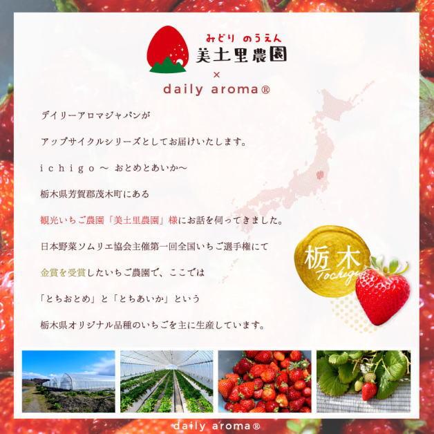いちごハンドクリーム　苺の香り　イチゴ　おとめとあいか　ストロベリー　75g　ハンドクリーム　デイリーアロマジャパン　栃木県・美土里農園コラボ商品　日本 |  | 03