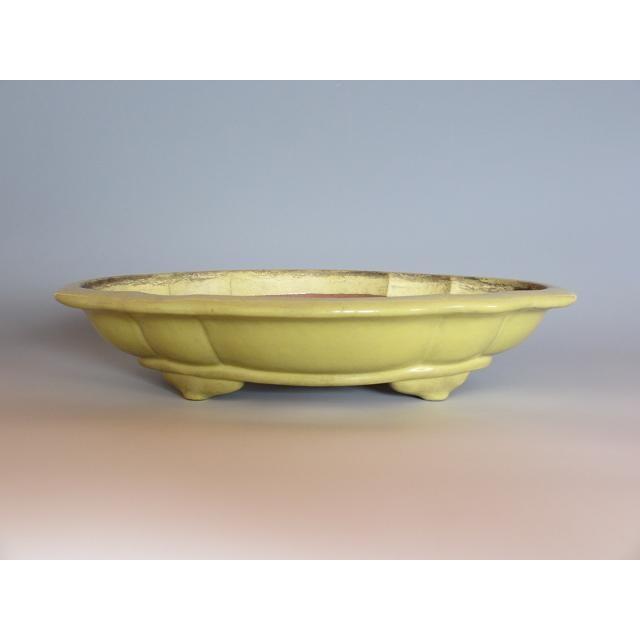 9879 （中古） 盆栽鉢◇黄金釉木瓜式◇銘品中国鉢 : Ffactory Yahoo!店