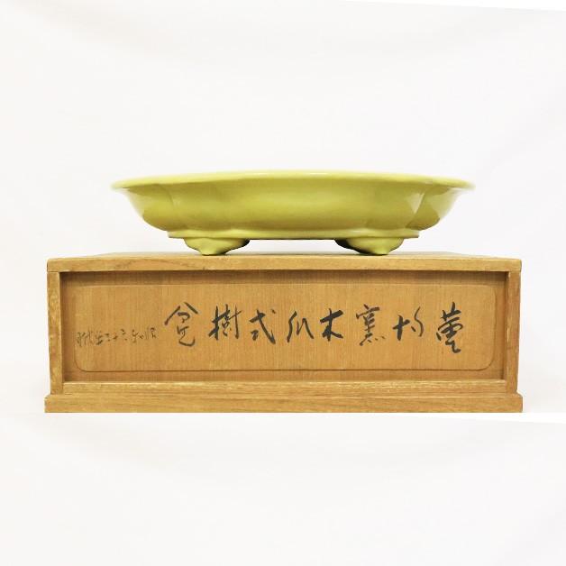 9879 （中古） 盆栽鉢◇黄金釉木瓜式◇銘品中国鉢 : Ffactory Yahoo!店