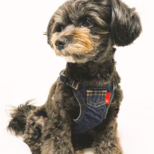 デニムドッグハーネス　ポケット付きハーネス　デニムハーネス　犬用ハーネス　首輪　デニムカラー　オーバーオール風　デニム地　ワンタッチバックル　調整 |  | 07