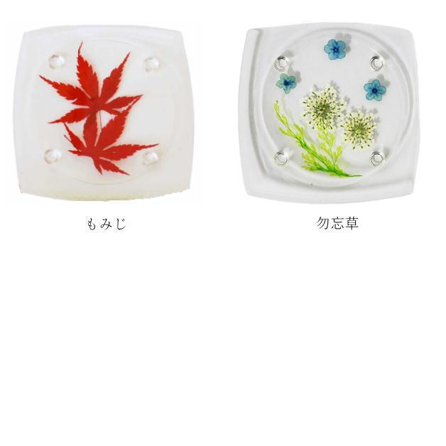 押し花コースター　アクリルコースター　花　テーブルウェア　フラワー　デルフィニウム　クローバー　バーベナ　ヒマワリ　コスモス　ノースポール　赤バラ |  | 03