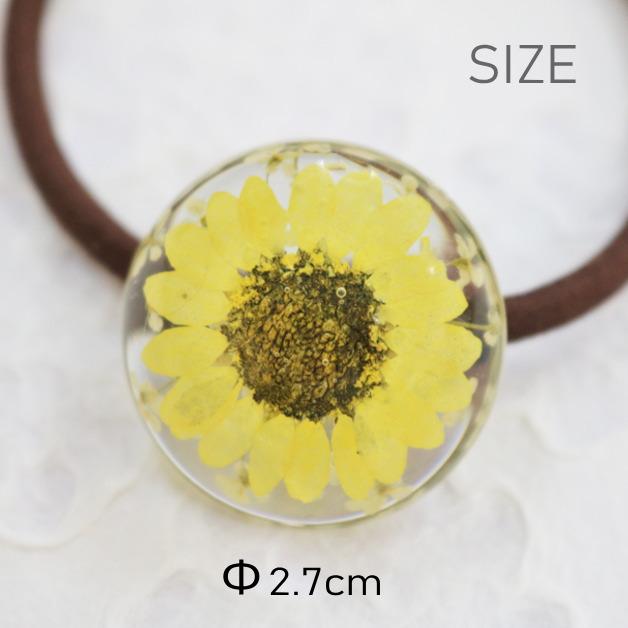 スワロ使用♡ミモザとビオラの押し花のヘアゴム♡ 楽天市場】ドライフラワー 押し花 ハンドメイド ネイル【Mimosa(ミモザ
