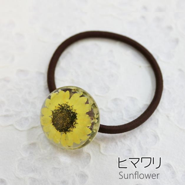 スワロ使用♡ミモザとビオラの押し花のヘアゴム♡ 楽天市場】ドライフラワー 押し花 ハンドメイド ネイル【Mimosa(ミモザ
