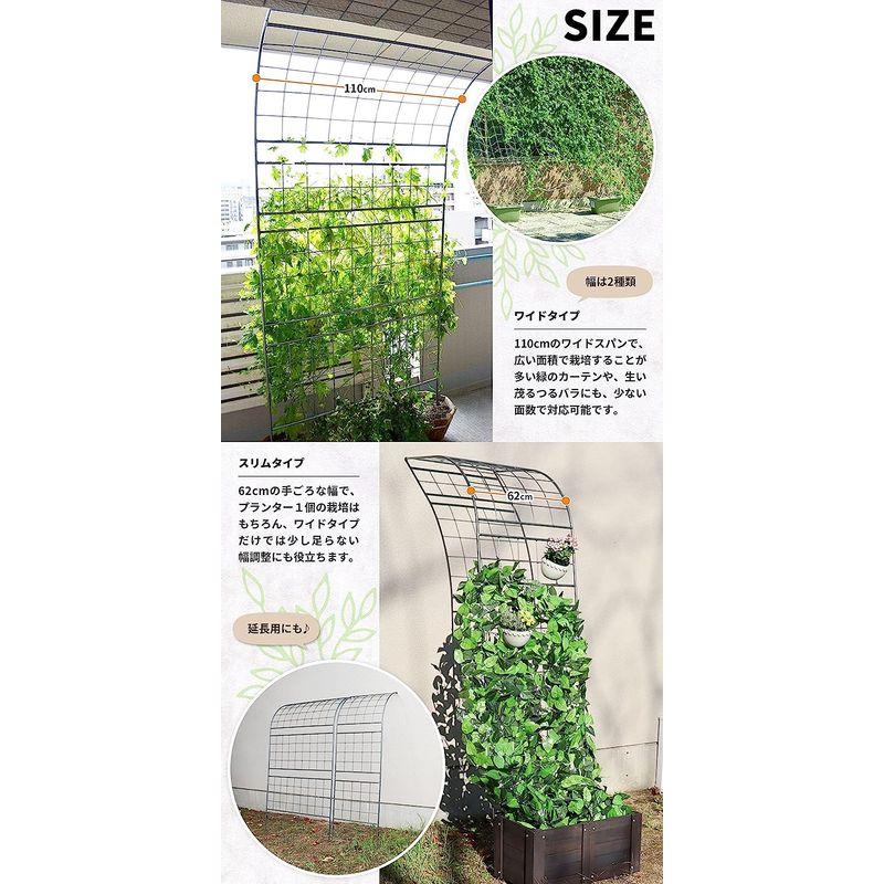 ガーデンガーデン グリーンカーテンやローズフェンスに フレキシブル ウォールフェンス スリム ハイタイプ 幅62cm×高さ225cm ハンマ グリーンカーテンやローズフェンスに フレキシブル ウォールフェンス スリム ハイタイプ 幅62cm×高さ225cm ハンマ サイズ