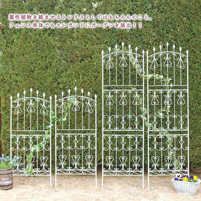 ガーデンガーデン アイアンローズフェンス ロータイプ 高さ150cm×幅62cm 2枚セット ホワイト トレリス IFROSE150CP2P 高さ150cm×幅62cm 2枚セット アイアンローズフェンス ロータイプ ホワイト トレリス IFROSE150CP2P サイズ