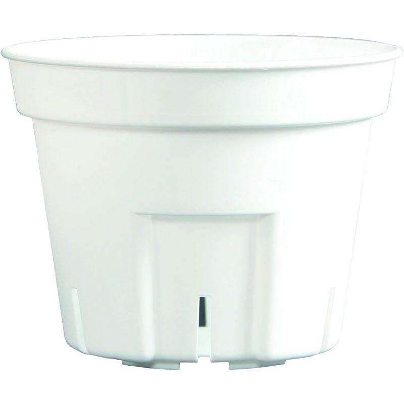 日本ポリ鉢販売(Japan Porihachi Hanbai) ポリ鉢 Sポット丸型603000鉢入 NI-101 白 3000入 Japan Porihachi Hanbai ポリ鉢 Sポット丸型603000鉢入 NI 3000入