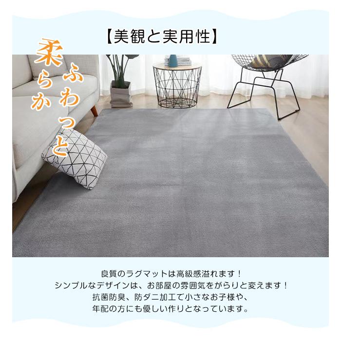 ラグ カーペット 洗える おしゃれ オールシーズン 防ダニ ラグマット