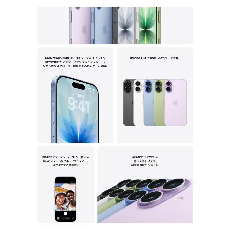 iPhone 17 Apple（アップル） 256GB ブラック MG674J/A 新品・未開封