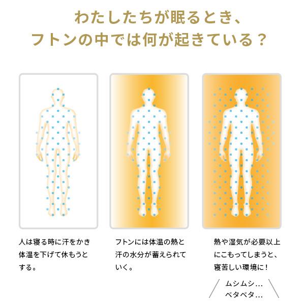 敷き布団 敷布団 マットレス シングル S セット フトンマットレス