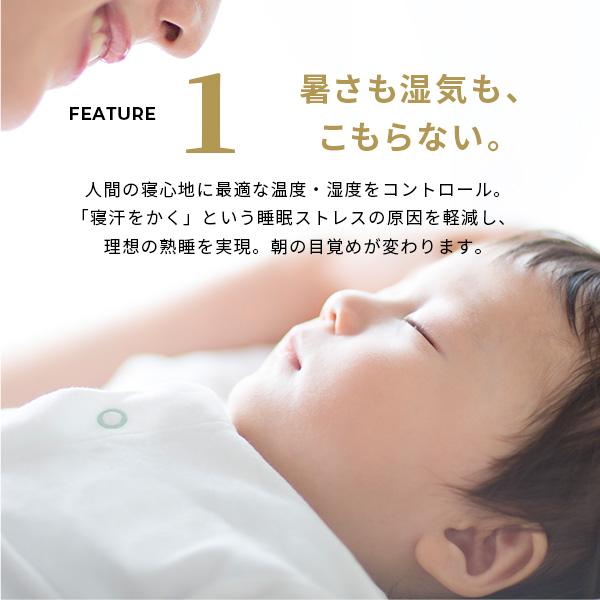 敷き布団 敷布団 マットレス セミダブル SD セット フトンマットレス