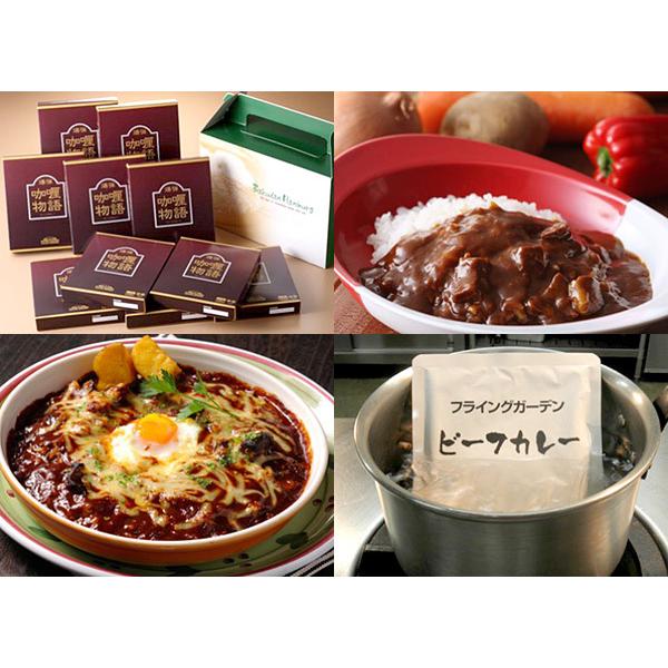 レトルトカレー 爆弾ハンバーグ フライングガーデン ギフト プレゼント 贈り物 お取り寄せ 簡単調理 ビーフカレー （200g×10箱）｜fgarden-store