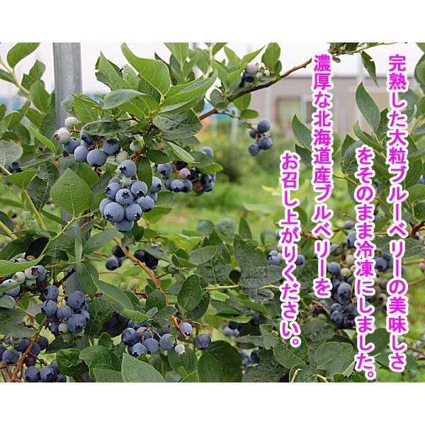 北海道産　令和６年収穫　ブルーベリー（冷凍）Ｌサイズ５００ｇ×２個 |  | 01