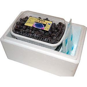 北海道の果実 令和7年収穫ハスカップ（冷凍）500g×2個 : フルーツ