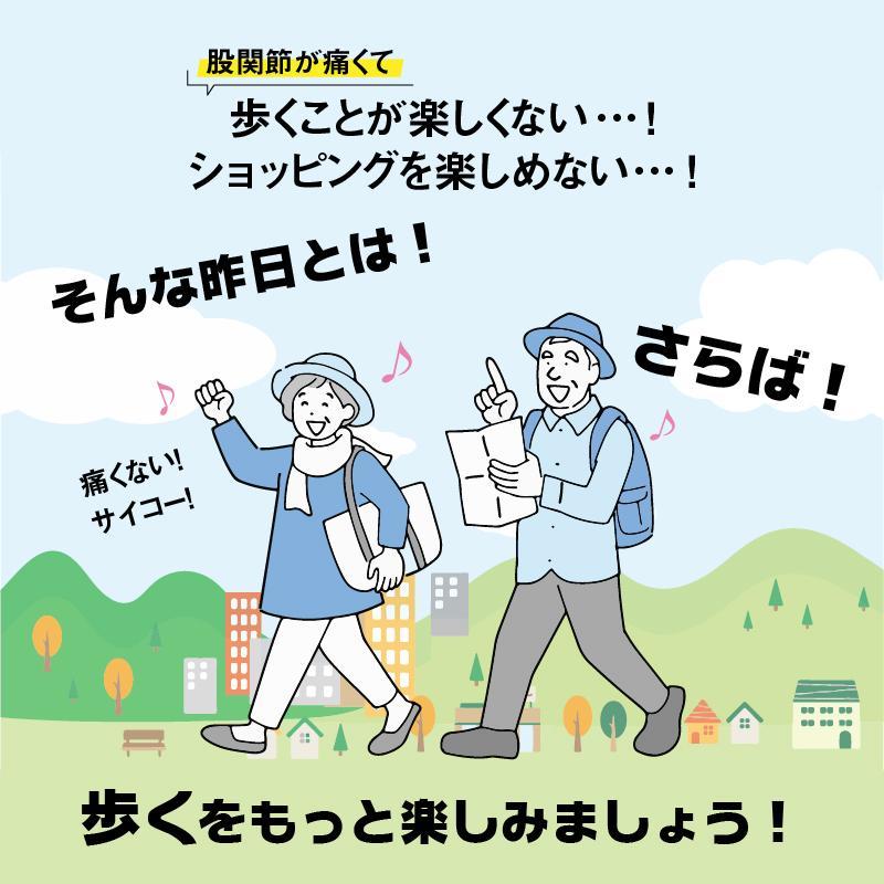 股関節ムーブサポートインソール 衝撃吸収 かかと 股関節痛 股関節 痛み軽減 対策 O脚 中敷き スポーツ 立ち仕事 スニーカー 送料無料｜fhsr0119｜08