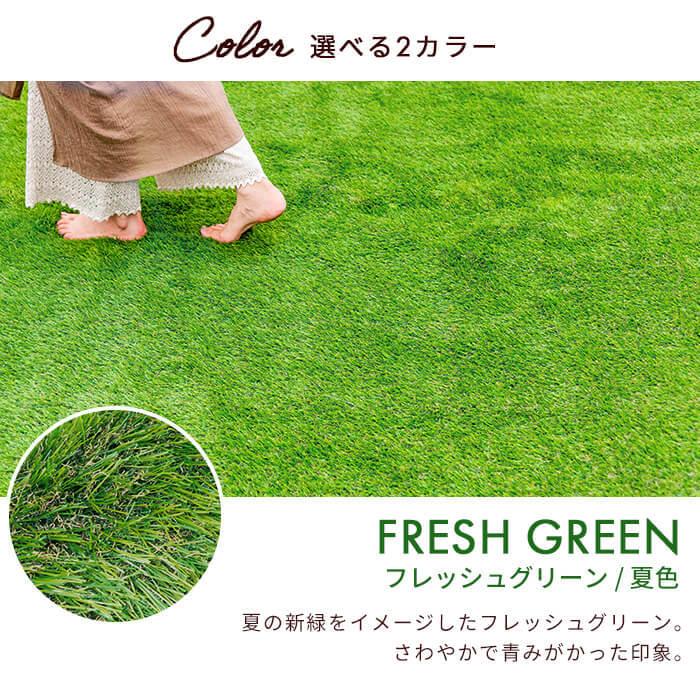 MINT 人工芝 ロール 2×5m 芝丈 35mm 秋色 夏色 芝生 マット UVカット