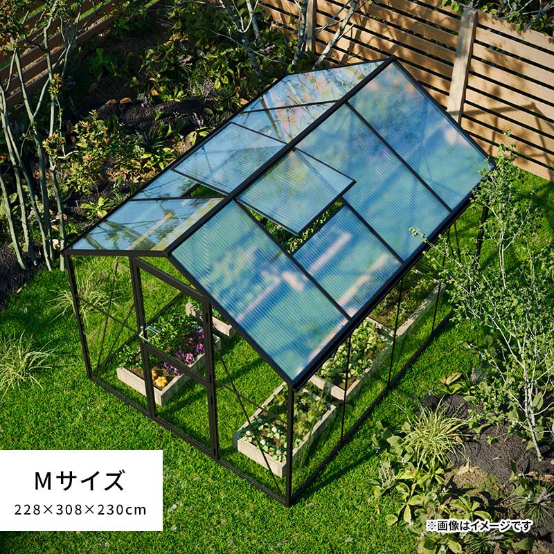 MINT ガラス温室 サンルーム Mサイズ 大型物置 屋外物置 組み立て式