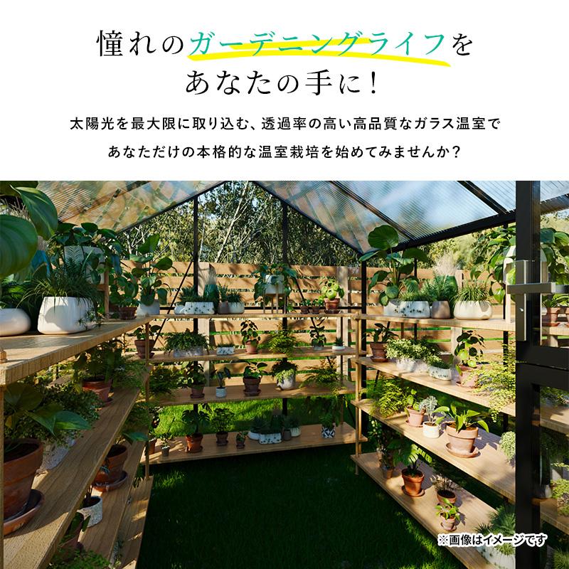 MINT ガラス温室 サンルーム Mサイズ 大型物置 屋外物置 組み立て式